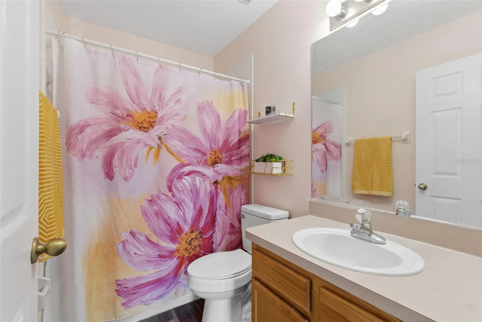 Guest bathroom (shower/tub combo)