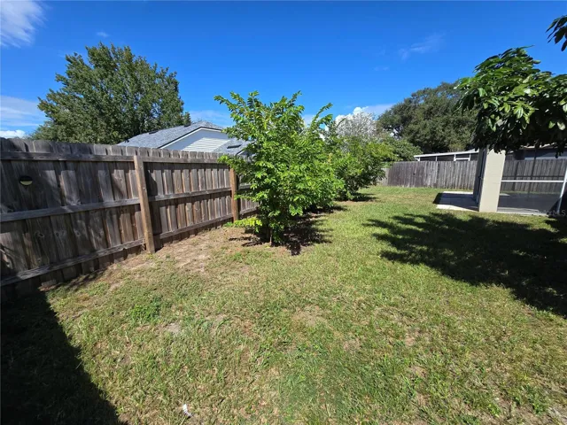 Fenced backyard