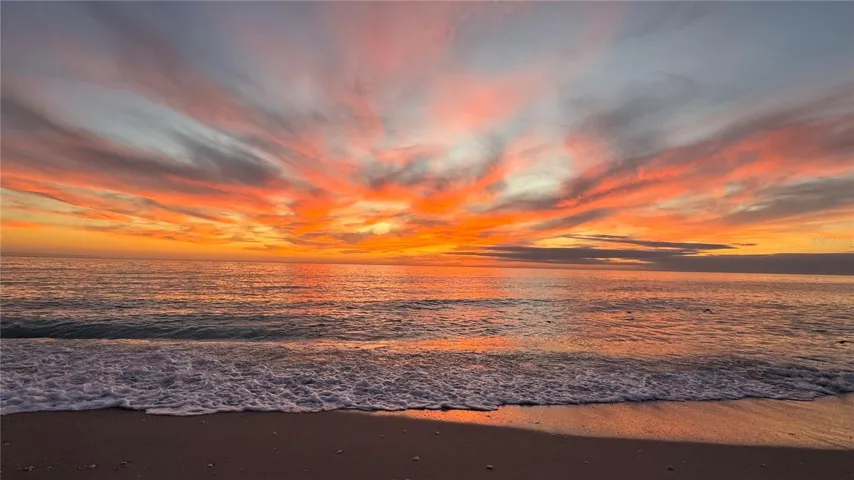 Venice Beach is less than 10 minutes away!!