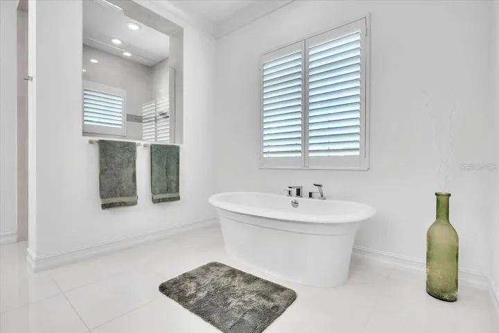 Primary Suite Bath