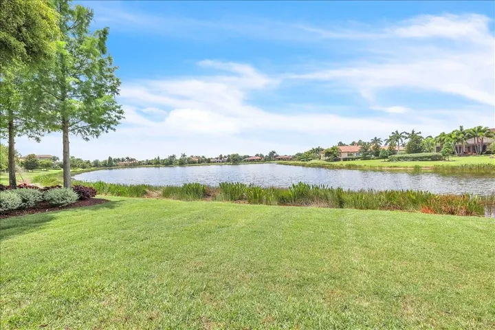 Backyard View
