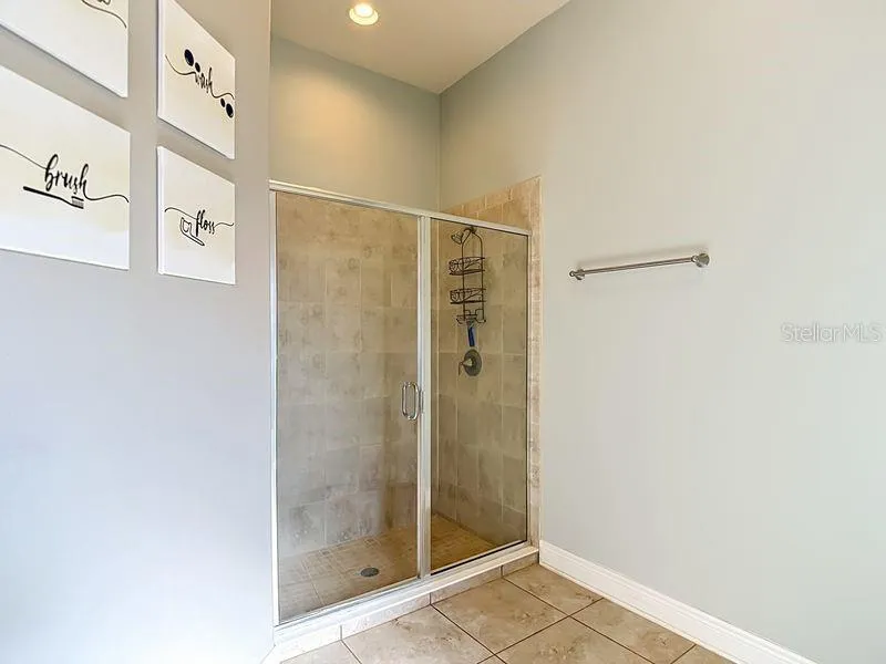Primary bathroom shower