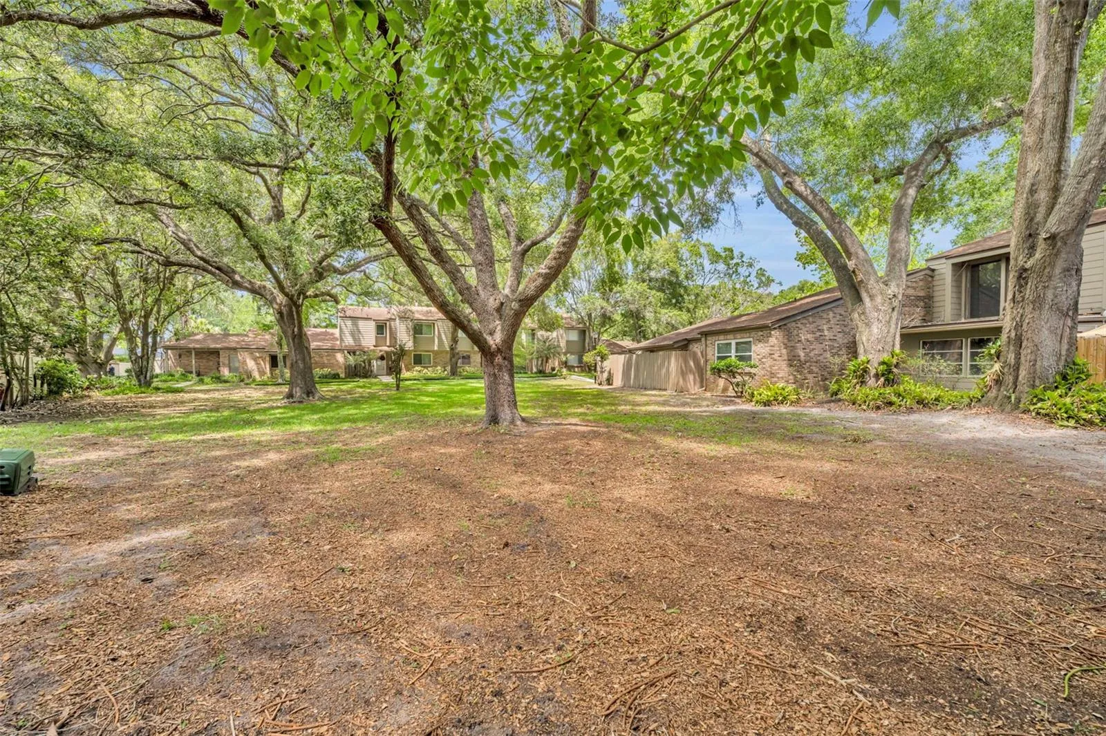 Green space with tree canopy