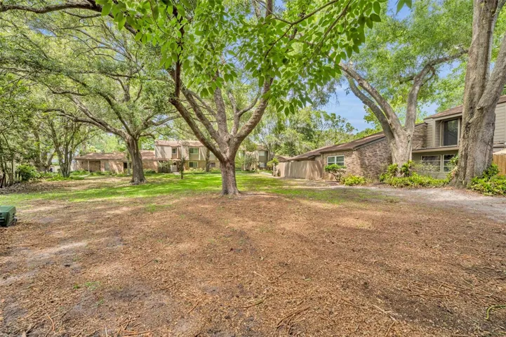 Green space with tree canopy