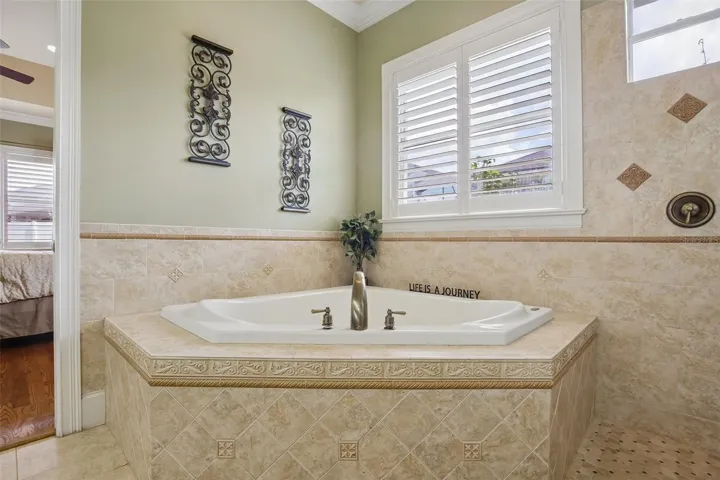 Primary Bath Tub