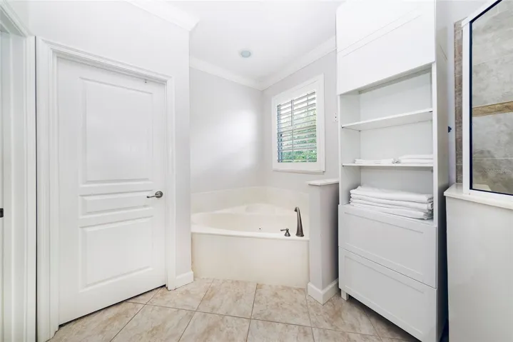 Master Bathroom Tub, walk-in closet, toilet room