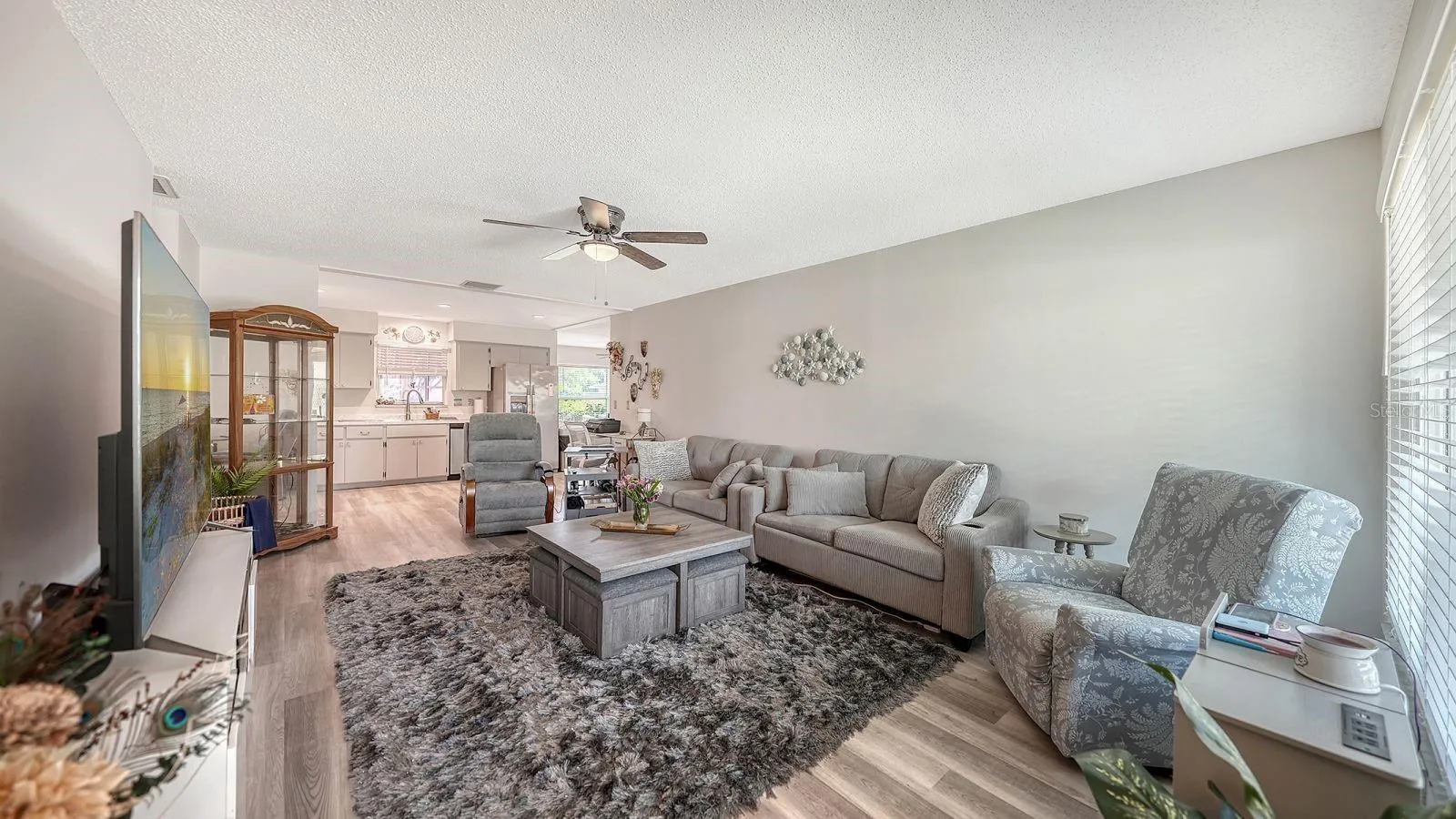 Living Room and Kitchen