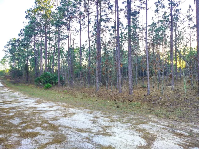 Street View - Facing South