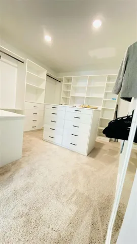 Walking Closet Primary Room