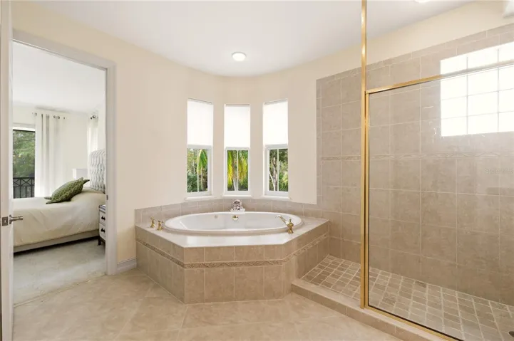 Primary bath walk-in shower &amp; great light