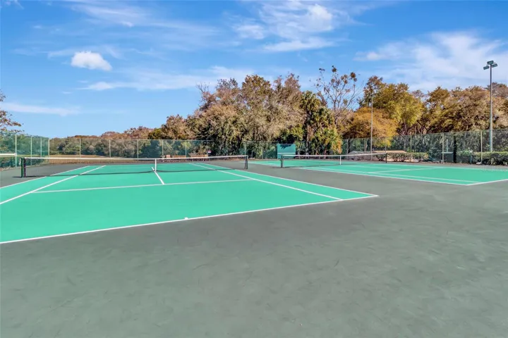 Community Courts