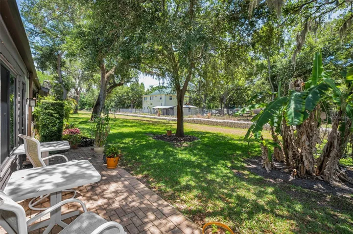 Patio & Back Yard