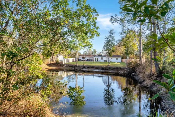 Pond