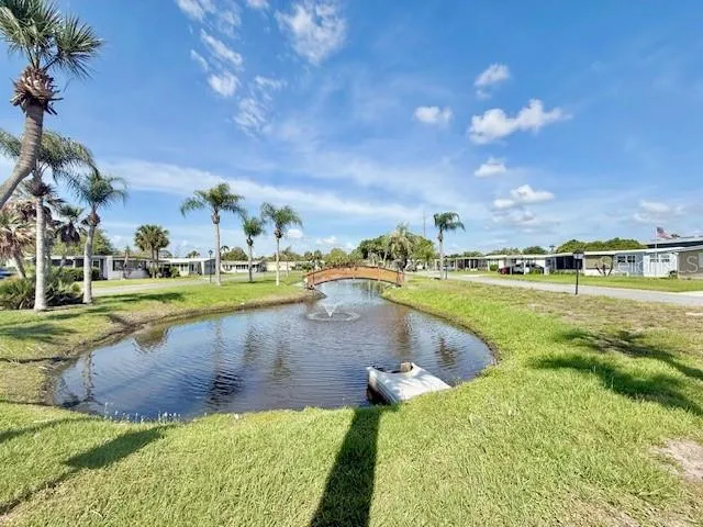 Pond