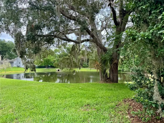 Side/Back Yard view