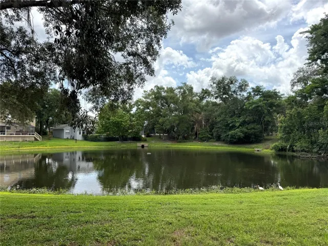 Pond view in back yard