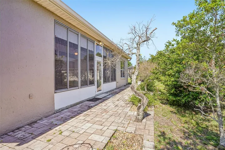Rear Patio