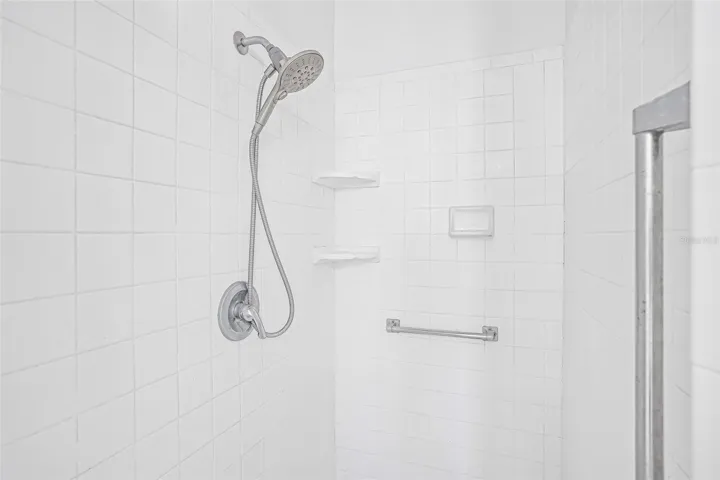 Master Bath Shower