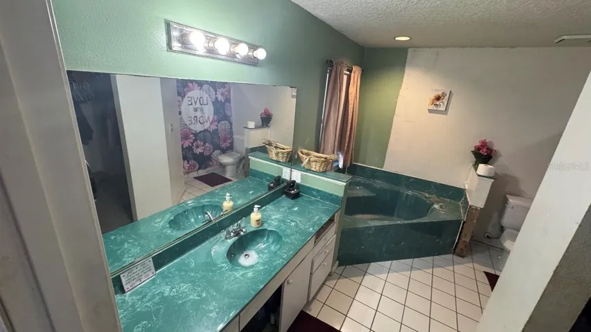 Primary Bathroom 2