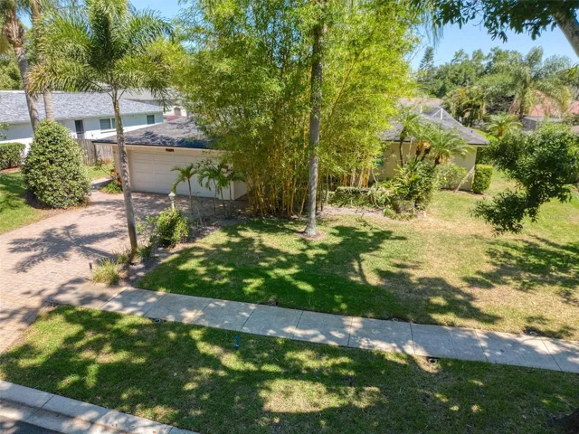 Front Privacy from Gorgeous Bamboo Trees