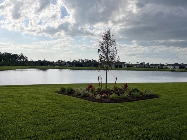 Lakeview with sod