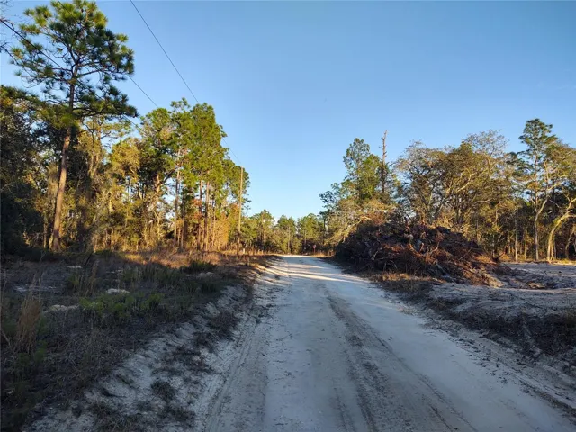 Street View--East