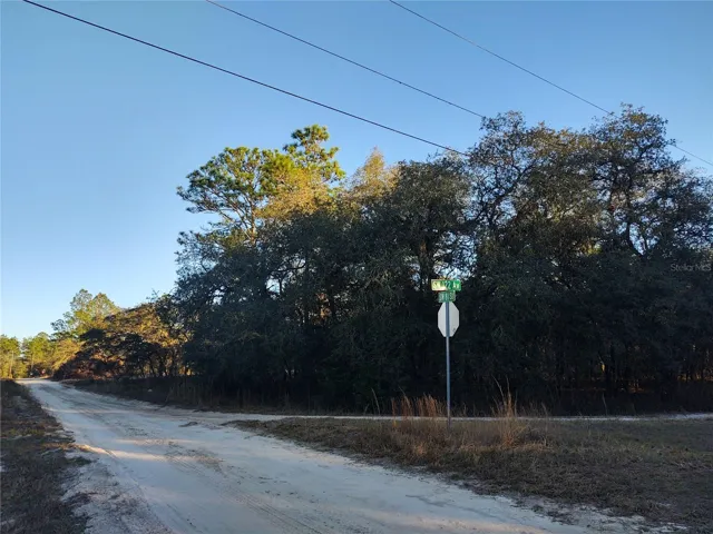 Corner View--Toward SOUTH EAST