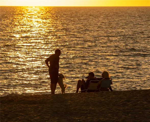 Dog beach at sunset