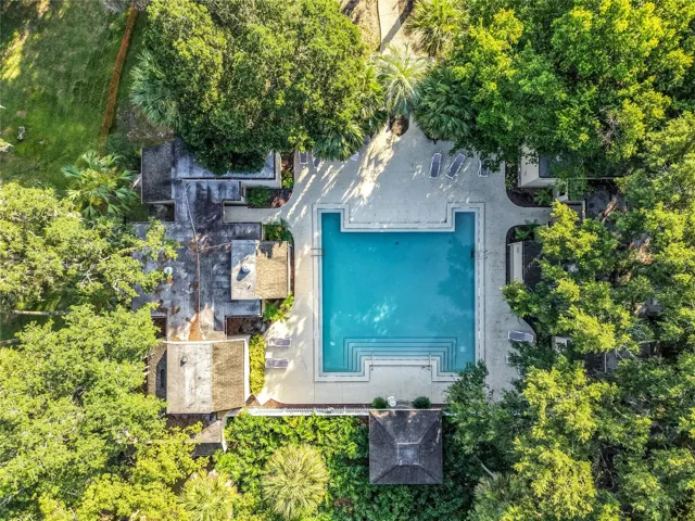 Springs Community Pool