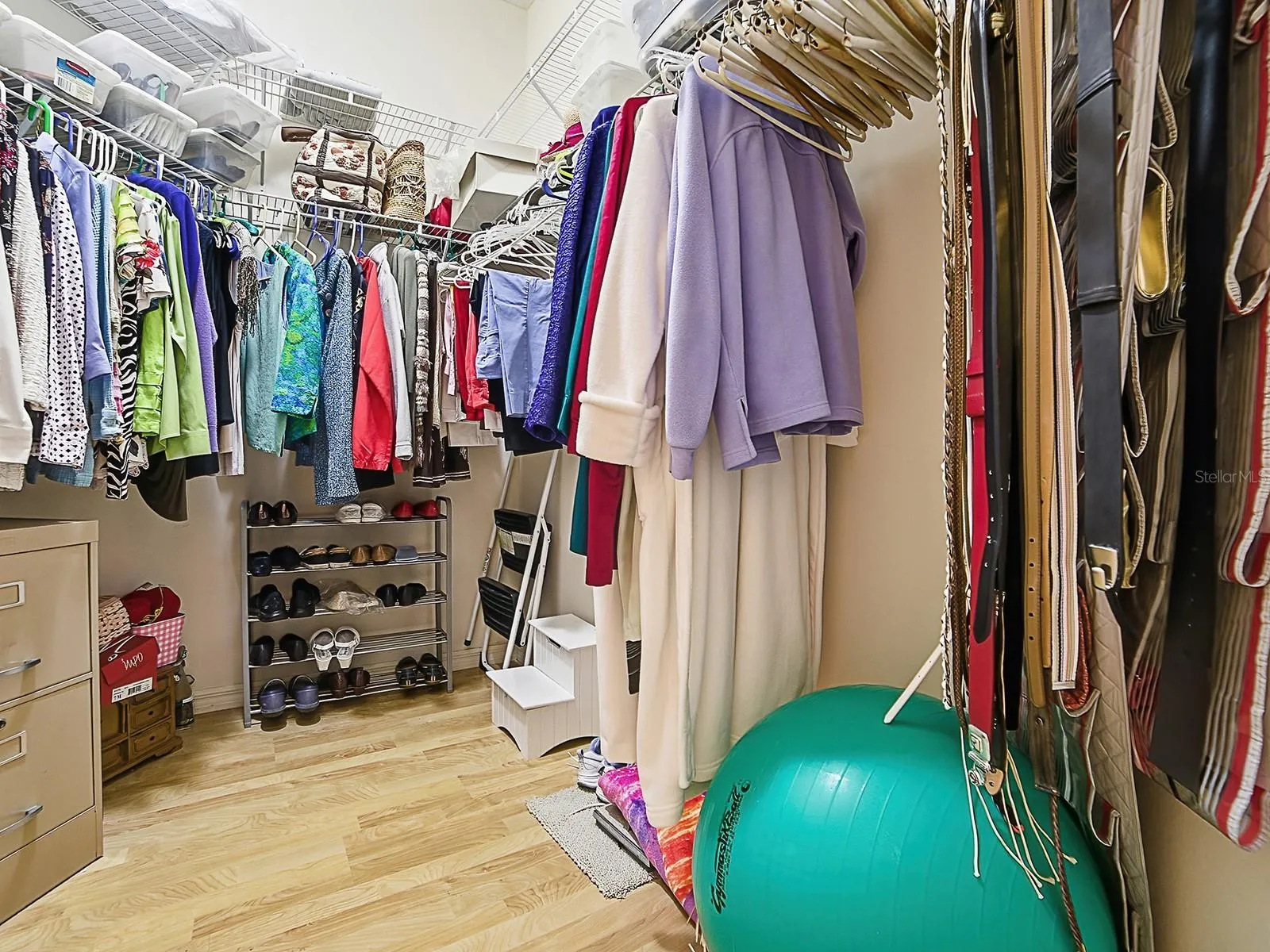 Primary Walk-in Closet