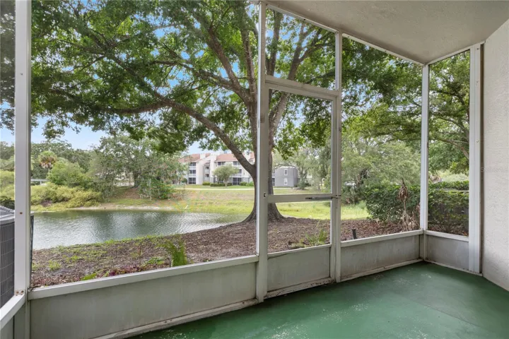 Back Patio