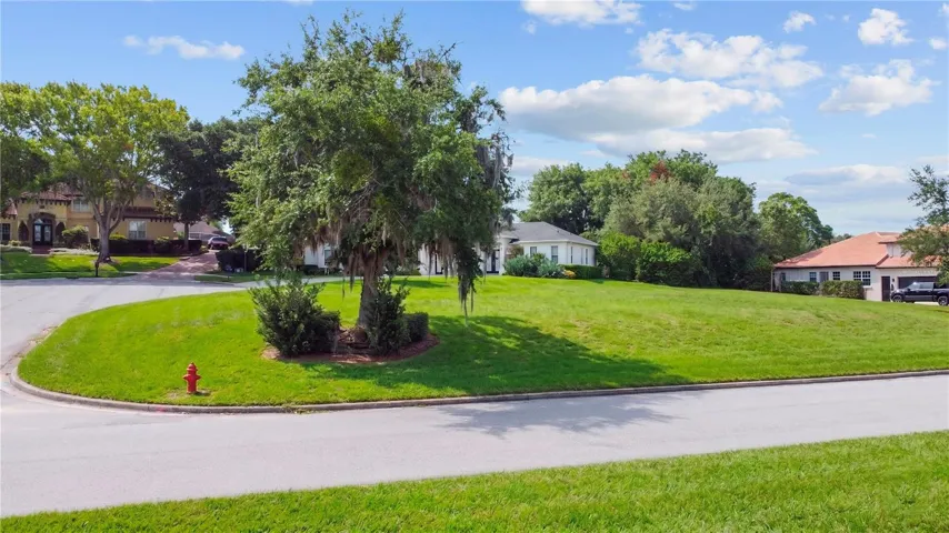Virtually staged grass