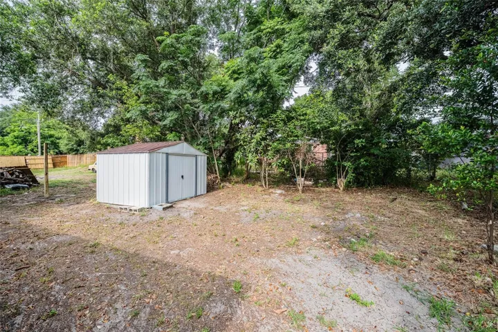 Shed and back yard