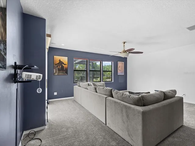 Theatre Room/Bonus Room