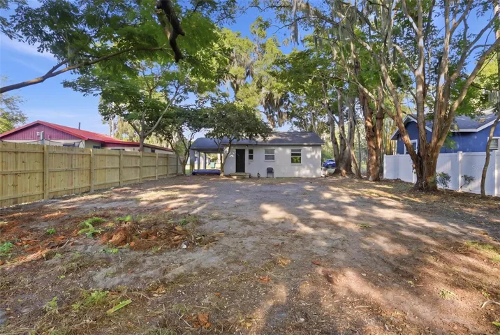 Back Yard