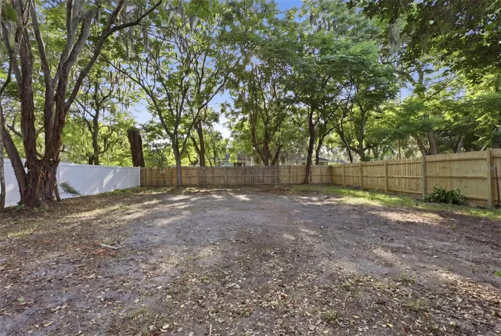 Back Yard