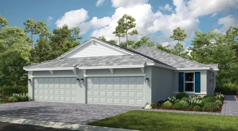Ibis Rendering