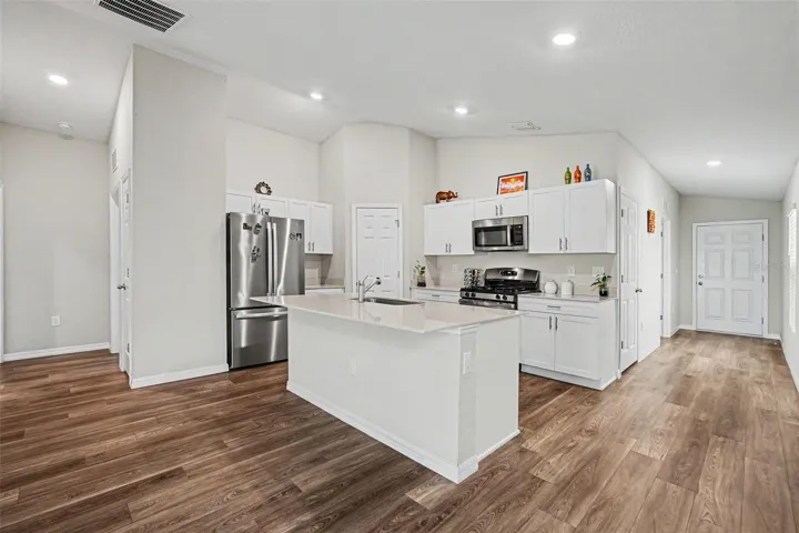 14919 Sterling Spur Ave, Lithia FL 33547 - Kitchen