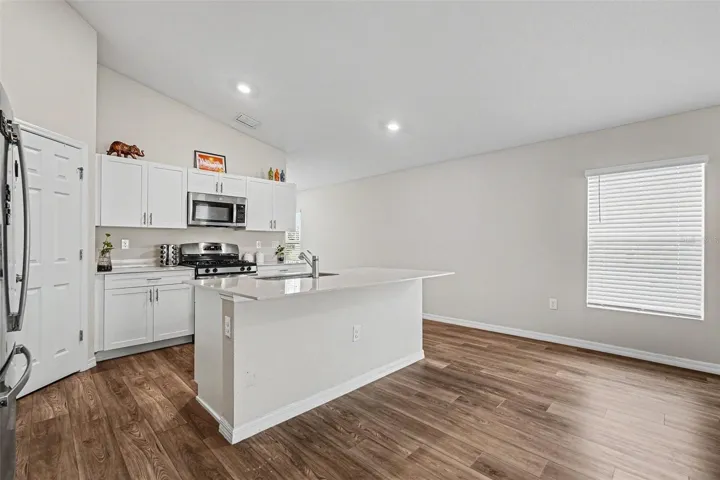 14919 Sterling Spur Ave, Lithia FL 33547 - Kitchen