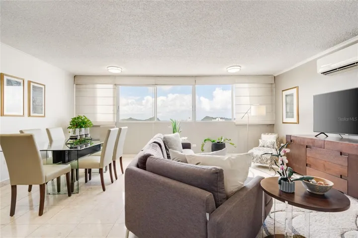 Living Roon and Dining Room