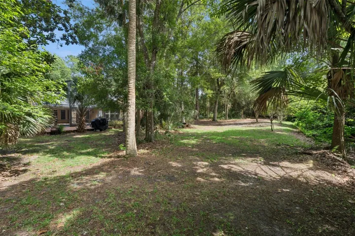 Huge lot and backyard