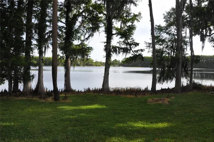 View of Lake Minnie from the shoreline