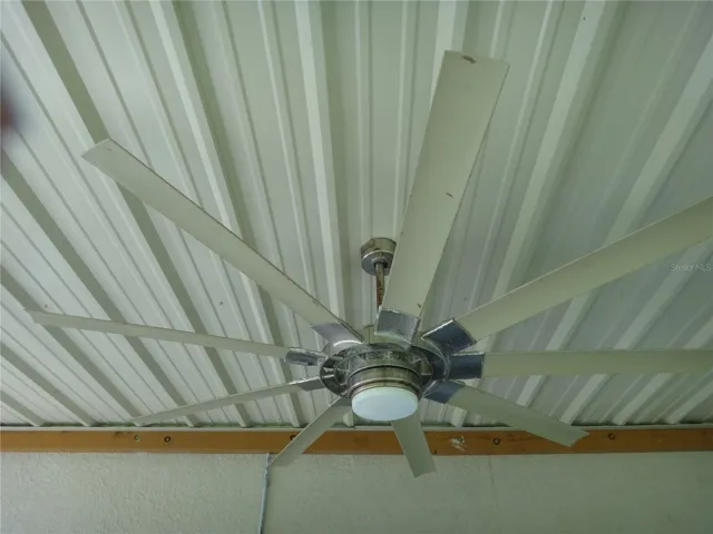 Amazing ceiling fan!