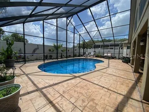 Pool / Lanai