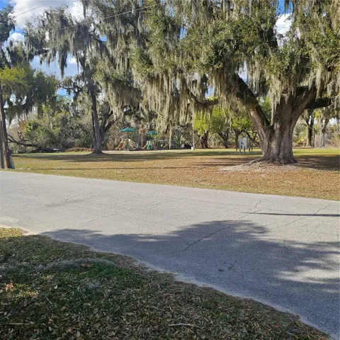 Paved road and park across the street