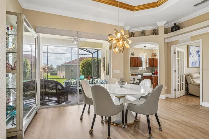 Dining Area & Another Designer Light Fixture