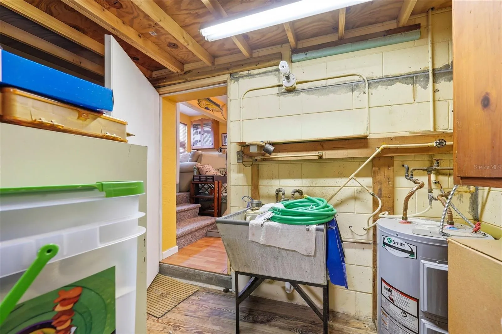 downstairs storage room