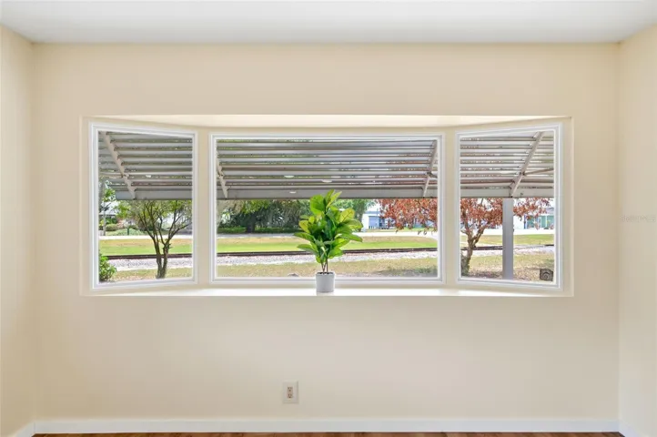 LIVING ROOM WINDOW