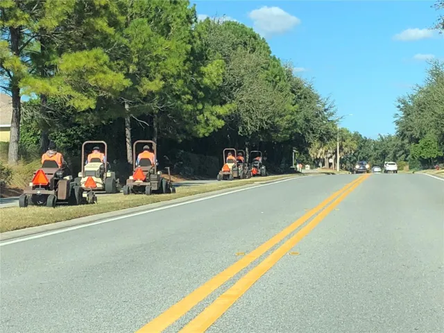 The Lawn Crew