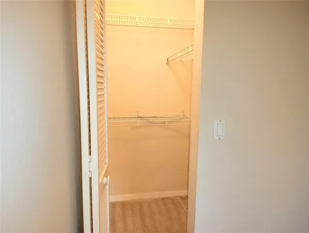 BR 2 closet